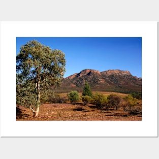 Outback Australia the Flinders Ranges Posters and Art